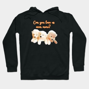 Can you love us even more? Hoodie